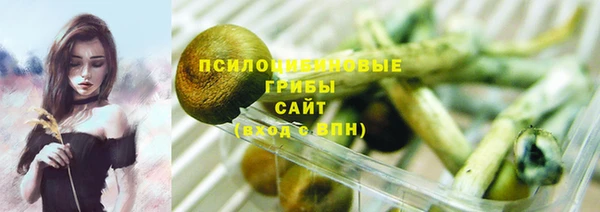 дживик Алексеевка