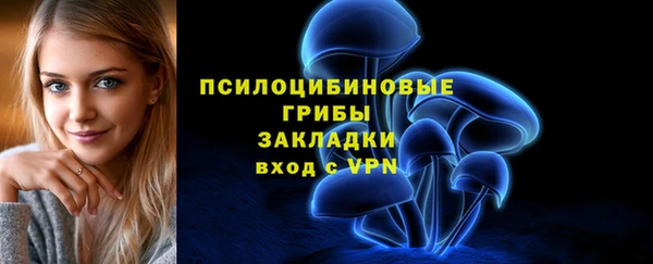 PSILOCYBIN Абинск