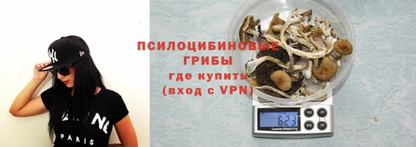 дживик Алексеевка