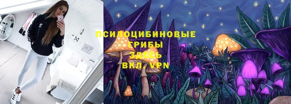 дживик Алексеевка